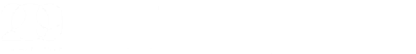 209 Hadapsar Official Developer